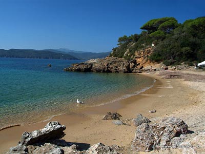 Zuccale Strand, Insel Elba